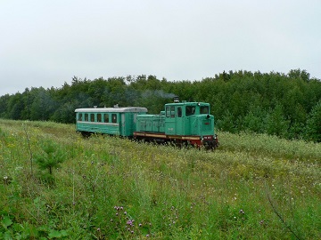Проезд в вагончике по самой протяжённой в России узкоколейной железной дороге от г. Алапаевска до Верхней Синячихи: